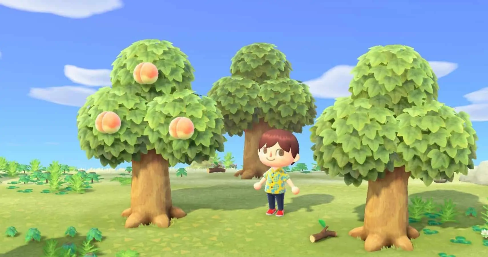 How to Get Wood in Animal Crossing New Horizons? Xfire