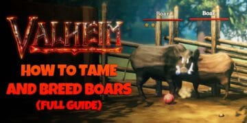 How To Tame & Breed Boars In Valheim - Full Guide