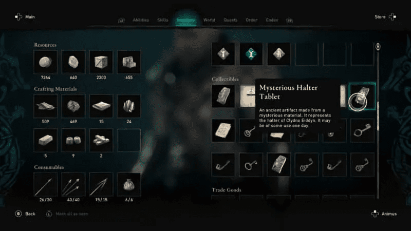 Mysterious Halter Tablet in the inventory menu