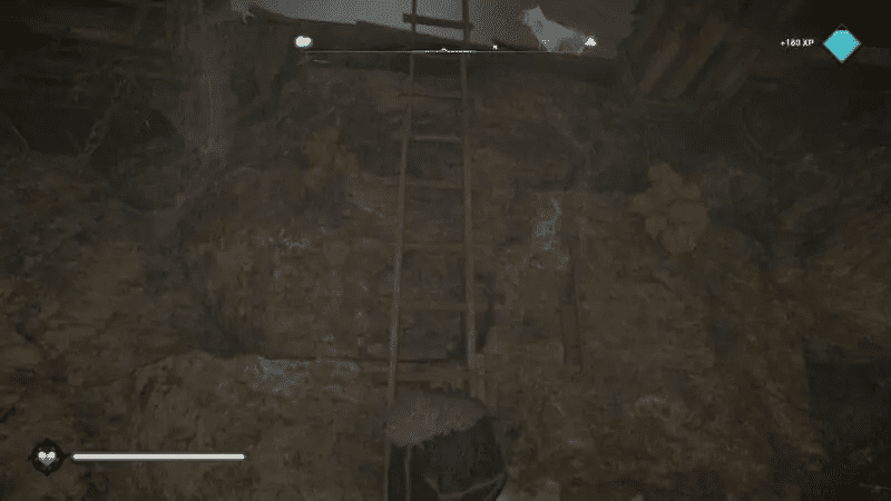 Ladders taking you forward into the cave