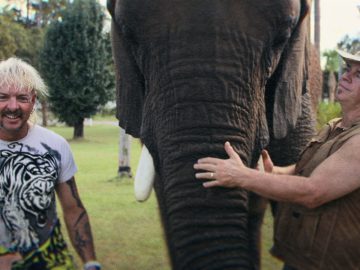 You'd have to be a special kind of crazy to be able to tame wild animals and hug them on screen.