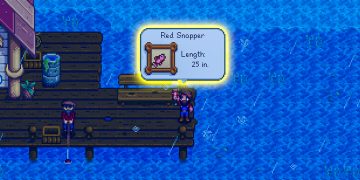 How To Catch A Red Snapper In Stardew Valley