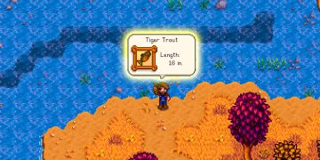 How To Catch A Tiger Trout In Stardew Valley