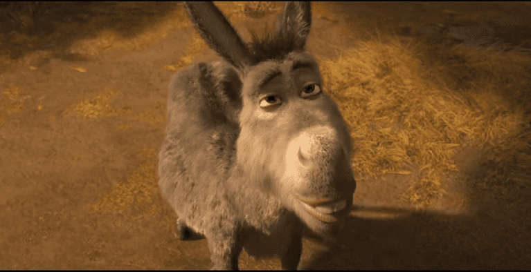 donkey