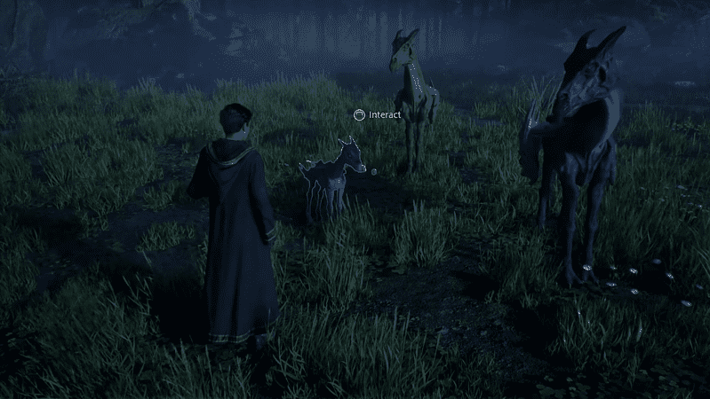 thestrals
