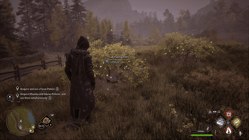 Focus Potion Guide Hl