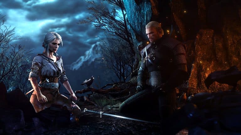 the witcher coop