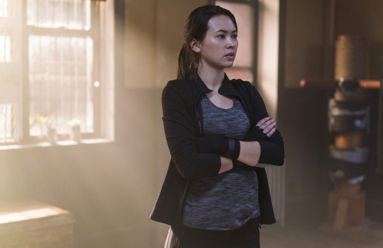 daredevil-directors-speaks-about-canceled-luke-cage-spinoff
