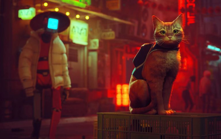 Stray is coming to the big screen with an animated adaptation.