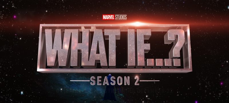 The MCU has been pretty selective when it comes to the shows that it greenlit for a second season let alone a third one.