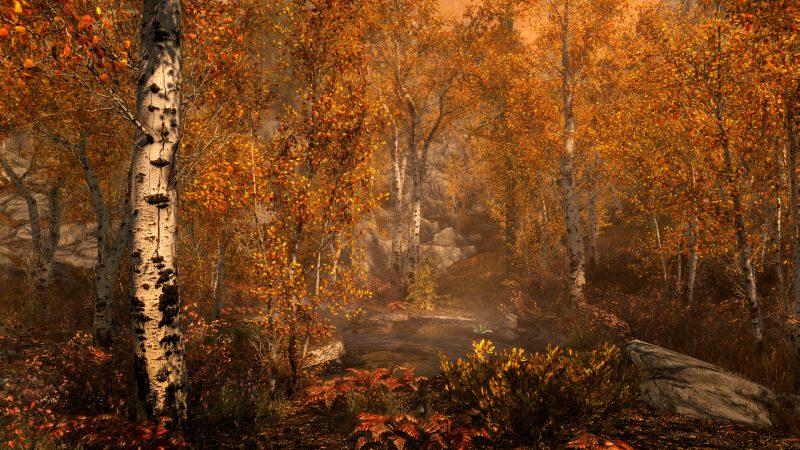 Bethesda is hoping that Starfield will enjoy the same kind of longevity as Skyrim.