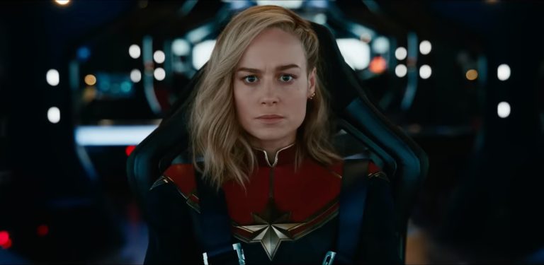 Fans have grown to detest Brie Larson's casting as Captain Marvel.