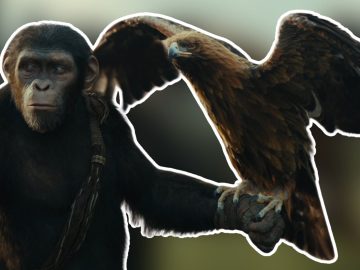 Owen Teague will voice Noa, a young chimpanzee who opposes Proximus Caesar's rule.