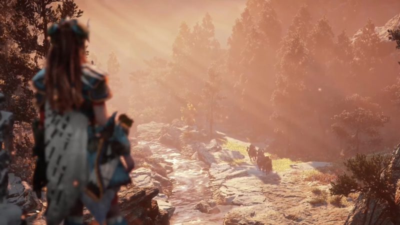 Guerilla Games' Decima engine has done an excellent job making the most out of whatever hardware games made using it has been released on.